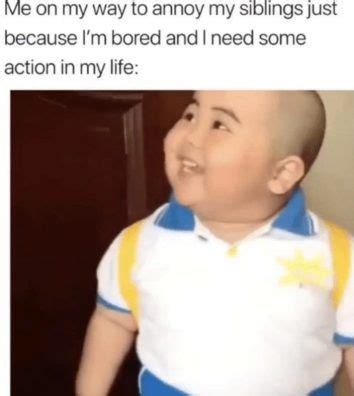 memes for siblings|50 Hilarious Sibling Memes: From Fights To Fun!.